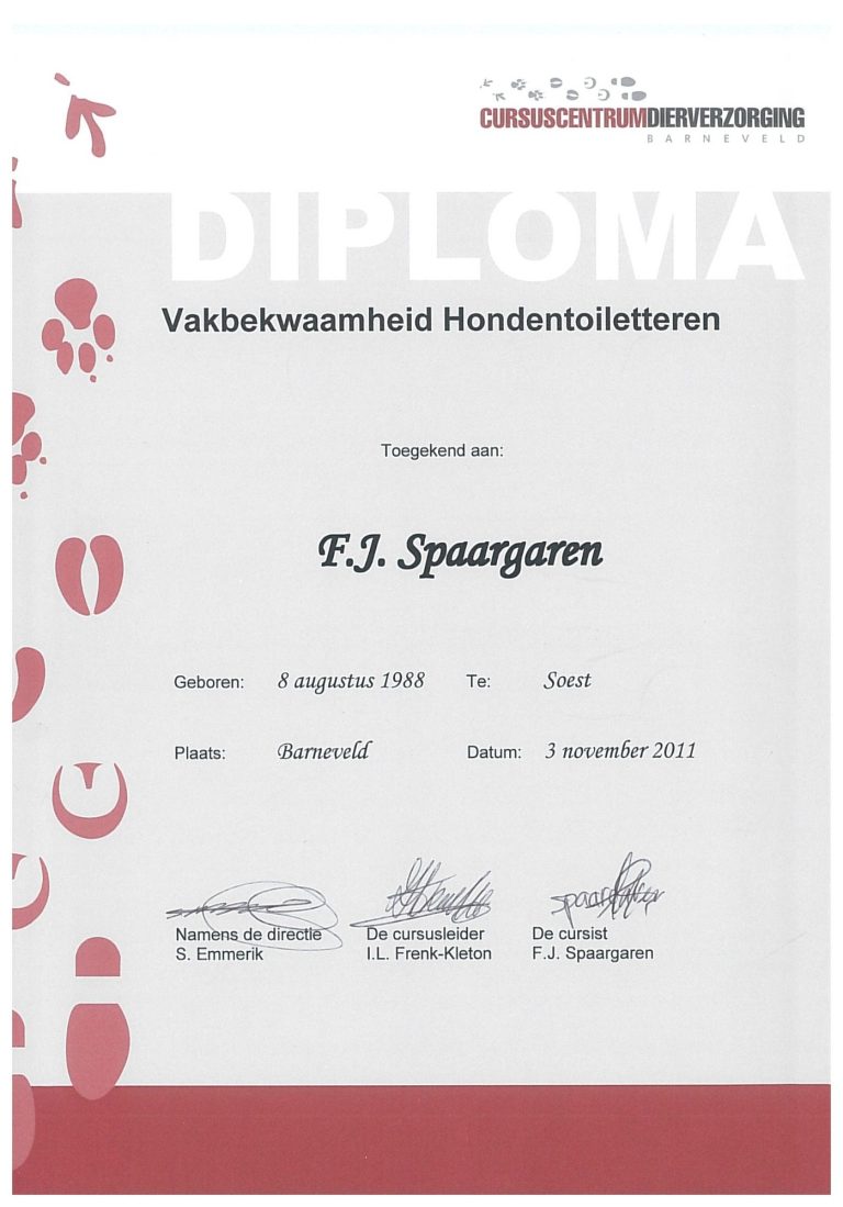 Diploma